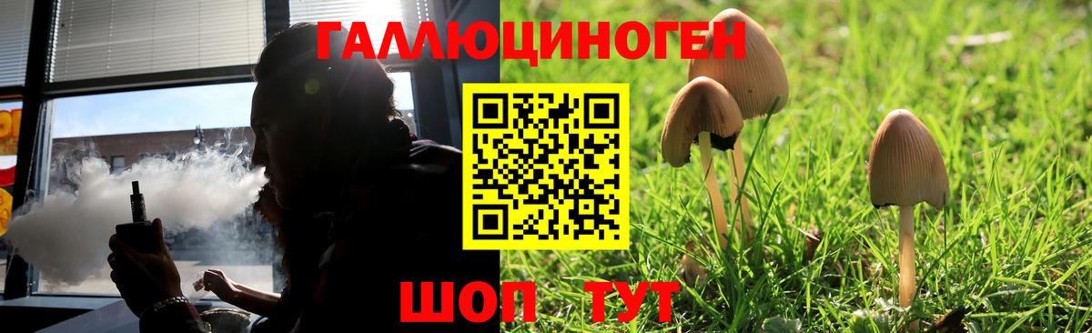 Псилоцибиновые грибы мухоморы Каспийск